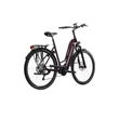 Kép 2/12 - KROSS Trans Hybrid Prestige D 28col női túra/trekking elektromos kerékpár - purple gloss