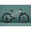 Kép 5/6 - KELLYS Naga Air 50 20col gyermek MTB kerékpár - 7 sebességes - merev villás - alu - Silver