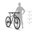Kép 3/3 - KELLYS Gate X30 29col MTB XC kerékpár - vázméretek