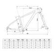 Kép 2/3 - KELLYS Spider X30 29col MTB XC kerékpár - vázgeometria