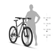 Kép 3/3 - KELLYS Spider X30 29col MTB XC kerékpár - vázméretek