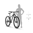 Kép 3/3 - KELLYS Vanity X40 29col női MTB XC kerékpár - vázméretek