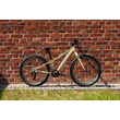 Kép 2/6 - KROSS Level JR 1.0 24col junior MTB XC kerékpár - beige gloss - OS (12col)
