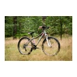 Kép 4/12 - KROSS Lea 2.0 női MTB kerékpár - silver/white/pink matt