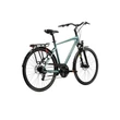 Kép 2/13 - KROSS Trans 3.0 M 28col férfi túra/trekking kerékpár - green/silver gloss
