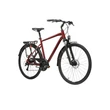 Kép 2/10 - KROSS Trans 4.0 M 28col férfi túra/trekking kerékpár - ruby/black gloss