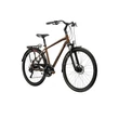 Kép 2/10 - KROSS Trans 5.0 M 28col férfi trekking kerékpár - brown/silver gloss