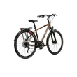 Kép 3/10 - KROSS Trans 5.0 M 28col férfi trekking kerékpár - brown/silver gloss