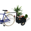 Kép 2/2 - BELLELLI Eco Trailer Maxi kerékpáros áruszállító utánfutó