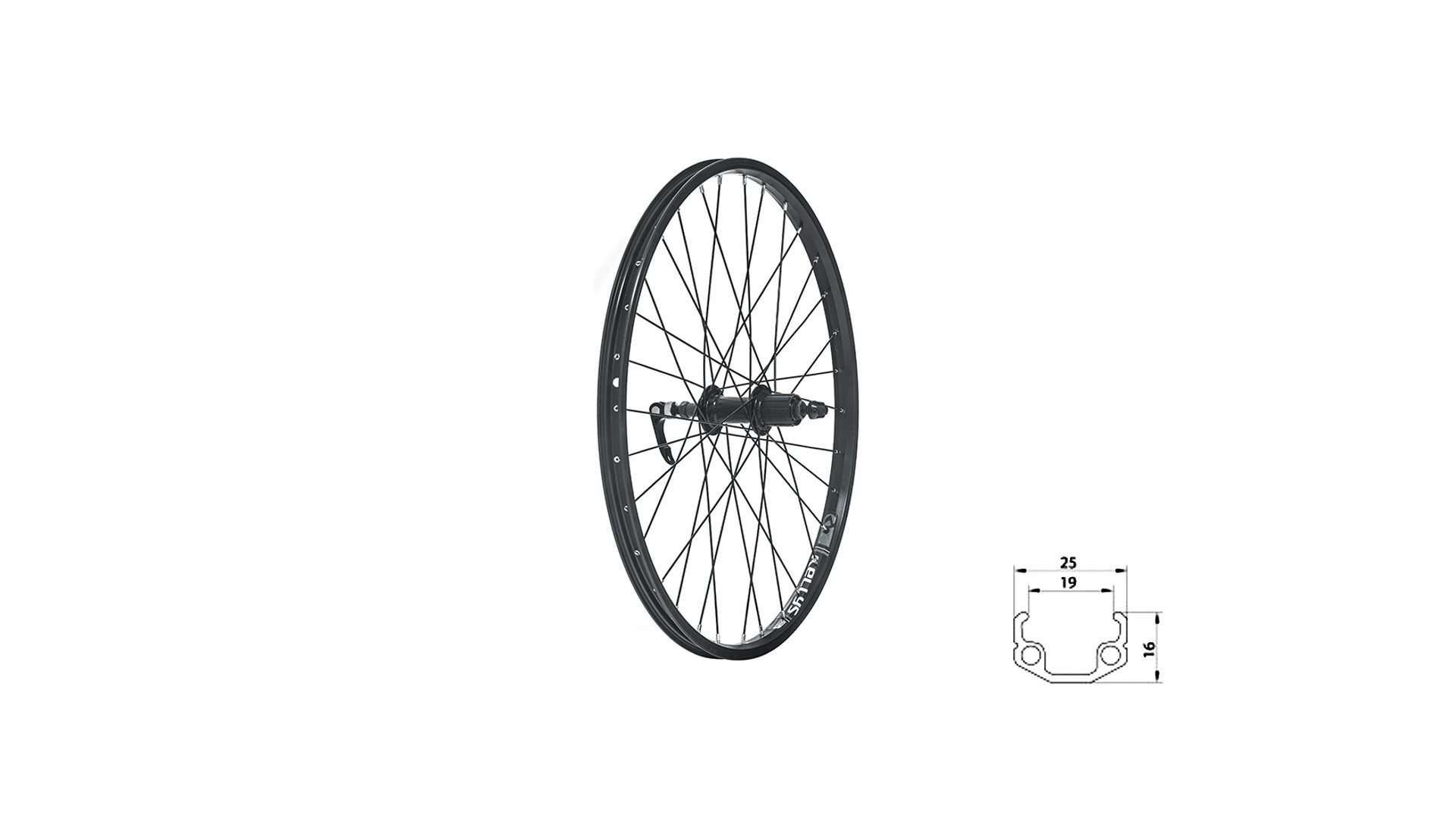 KLS Wasper Casette V-brake R fűzött hátsó kerék, 24", V-fékes, szimplafalú, kazettás, fekete