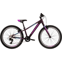 KROSS Lea JR 2.0 S 24col MTB XC lány gyermekkerékpár - violet / blue matt
