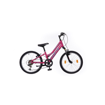 NEUZER Mistral 20col MTB lány gyerekkerékpár - 6 sebességes alu - pink / kék-fekete