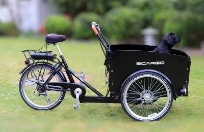 Elektromos teherszállító kerékpár / e-cargo pályázat!